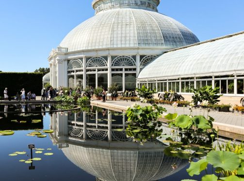 adobestock_378164744(1)