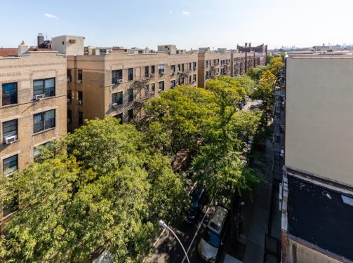 pinoak-100722-173 edit